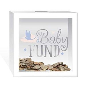Baby Fund Shadow Box